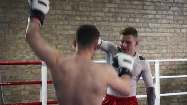 Muay Thai Boxer Performing Jumping Air Kicks Knee Punch Pad — 비디오