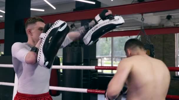 Close Portret Emotionele Hit Boxer Punch Pad Training Boksring Bij — Stockvideo