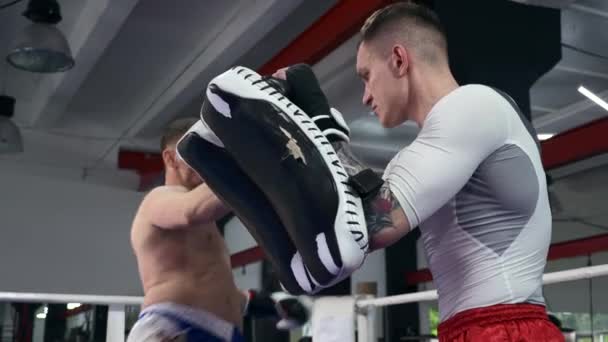 Twee Muay Thai Boxers Oefenen Schoppen Stoten Punch Pads Martial — Stockvideo