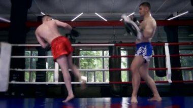 İki Dövüş Sanatları Dövüşçüsü boks ringinde antrenman yapıyor. Muay Thai Boksörleri Kentsel Spor Salonu 'nda Tekme ve Yumruklara Çalışıyor