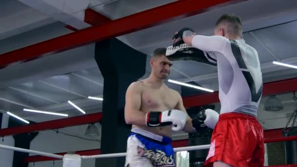 Muay Thai Boxer Provádí Skákání Vzduchem Kopy Kolenem Punč Pad — Stock video