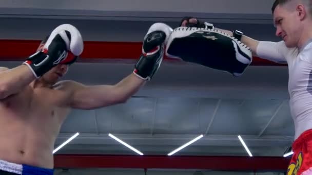 Muay Thai Boxer在冲床上用膝关节执行跳跃式气垫 白种人在城市体育馆练武术课 — 图库视频影像