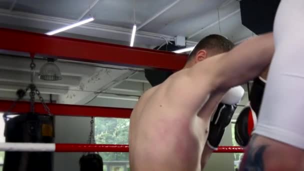 Close Boxer Hits Punch Pad Opponent Treinamento Anel Boxe Urban — Vídeo de Stock