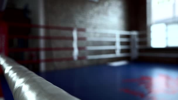 Πυγμαχία Ring Σχοινιά Θολή Φόντο Στο Αστικό Γυμναστήριο — Αρχείο Βίντεο