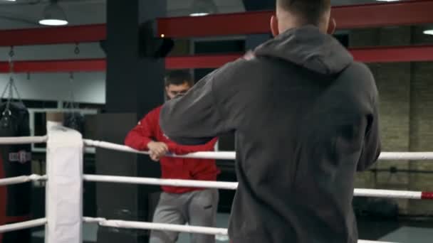 Boxer Warming Treinamento Com Treinador Instrutor Anel Boxe Urban Gym — Vídeo de Stock