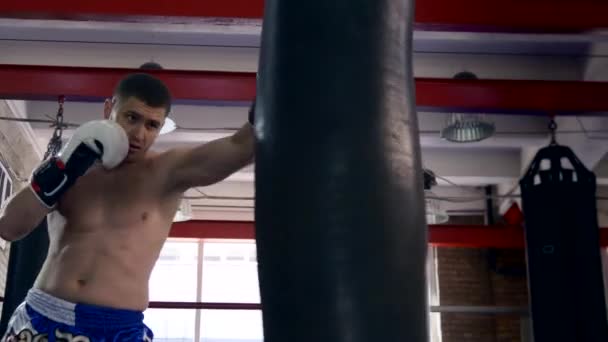 Artes Marciales Combate Patadas Puñetazos Saco Boxeo Entrenamiento Kickboxer Muay — Vídeo de stock