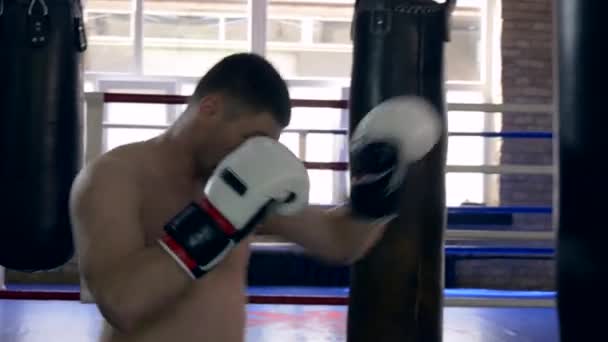 Artes Marciales Combate Patadas Puñetazos Saco Boxeo Entrenamiento Kickboxer Muay — Vídeos de Stock