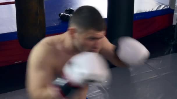 Πολεμικές Τέχνες Fighter Kicks Και Punches Punch Bag Muay Thai — Αρχείο Βίντεο