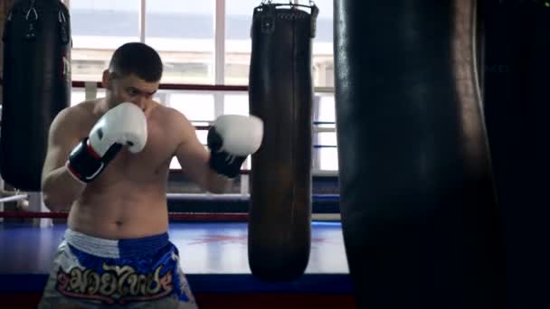Muay Thai Boxer Kicks Punches Punching Bag Vit Man Utbildning — Stockvideo
