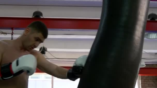 Artes Marciales Combate Patadas Puñetazos Saco Boxeo Entrenamiento Kickboxer Muay — Vídeo de stock