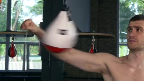 Boxer Fighter Slaat Snel Met Vuisten Snelheidszakken Blanke Man Aan — Stockvideo