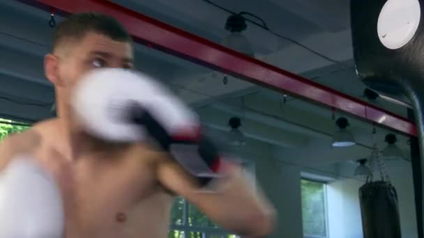 Profesionální Boxer Divoce Mlátí Wall Pad Tělocvičně Silný Svalnatý Muž — Stock video