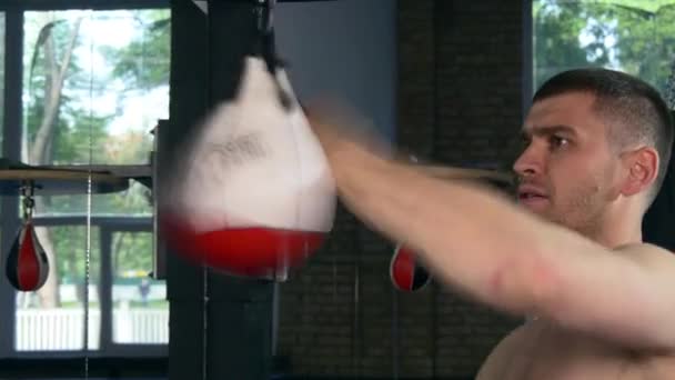 Boxer Fighter Slaat Snel Met Vuisten Snelheidszakken Blanke Man Aan — Stockvideo