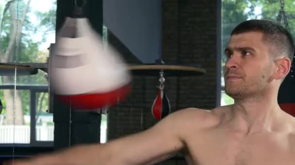 Boxer Fighter Träffar Snabbt Med Knytnävarna Hastighet Påsar Vit Man — Stockvideo