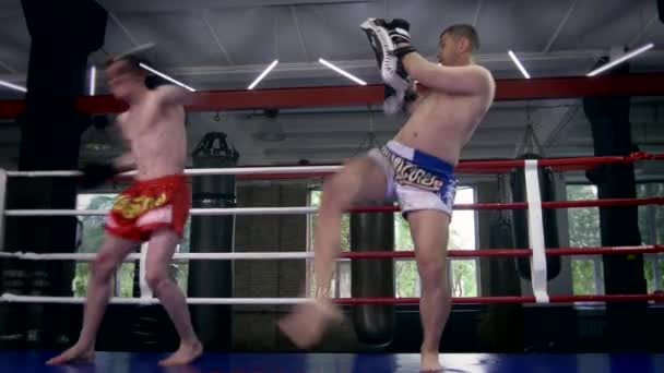 Zwei Kampfsportler beim Training im Boxring. Muay Thai Boxer üben Tritte und Schläge auf Punchingpads in der städtischen Turnhalle