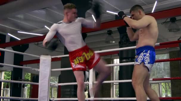 Δύο Μαχητές Πολεμικών Τεχνών Εκπαιδεύονται Στην Πυγμαχία Δαχτυλίδι Muay Thai — Αρχείο Βίντεο