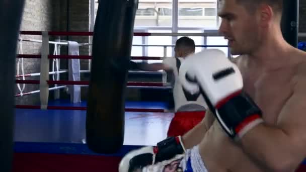 Dois Kickboxers Profissionais Muay Thai Boxers Ferozmente Perfurando Chutando Sacos — Vídeo de Stock