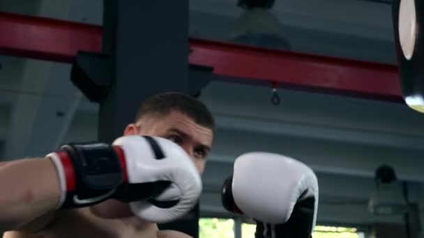 Forte Homem Muscular Ferozmente Perfurando Parede Almofada Ginásio Boxer Profissional — Vídeo de Stock