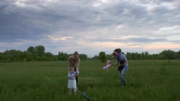 Mães Brincam Com Crianças Natureza Campo Grama Noite Nublado Céu — Vídeo de Stock