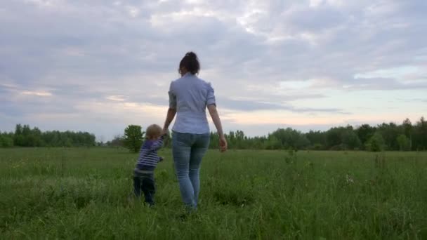 Happy Joyful Child Running Mother Playing Field Nature Evening Twilight — Stock Video