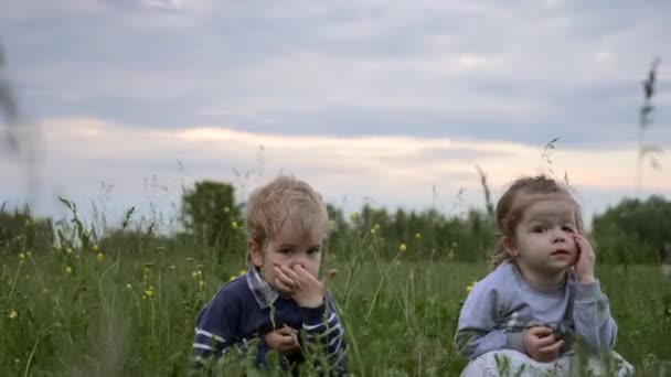 かわいい男の子と女の子が草の中に座っています 子供たちがフィールドで一緒に遊ぶ — ストック動画