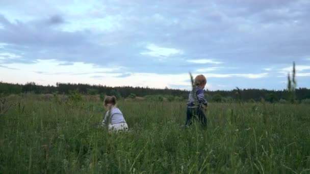 幸せな子供は野生の花を摘み取り 母親に与えます 畑の高い草の間に小さな男の子と女の子が花を摘んでいます スローモーション春の自然夕空が田園風景の上に — ストック動画