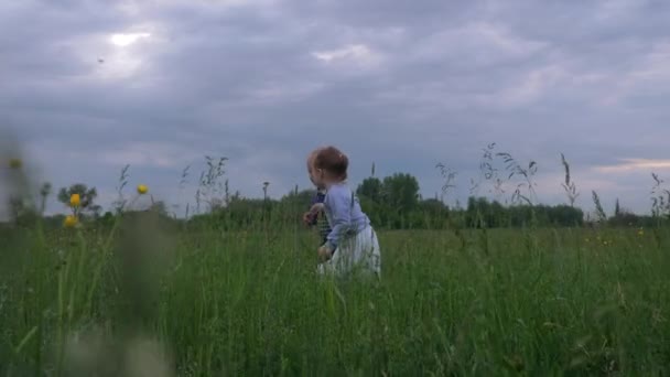 Happy Lovely Children Running High Grass Field Menino Menina Segurando — Vídeo de Stock