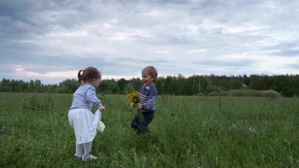 快乐的小男孩跑着 把野花送给站在草地上的可爱女孩 慢动作夜景乡村景观 — 图库视频影像