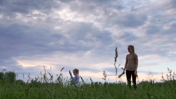 Mothers Play Children Nature Grass Field Evening Cloudy Sunset Sky — Stock Video