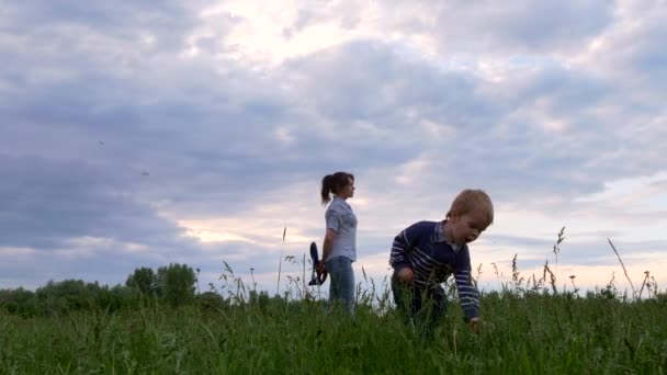 母は草原の自然の中で子供たちと遊ぶ 夕方曇り日没の空 — ストック動画
