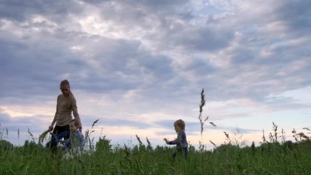 Happy Little Boy Runs Gives Wildflowers Cute Girl Standing Grass — Stock Video