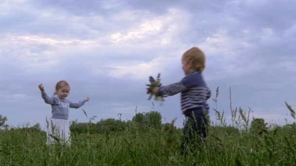 Happy Little Boy Rocks Gives Wildflowers Cute Girl Standing Grass — стоковое видео