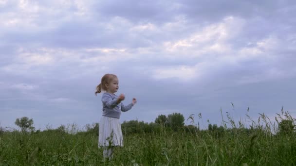 フィールドに草の上に立つかわいい女の子に幸せな男の子が走り 野生の花を与えます 夜の田園風景 — ストック動画