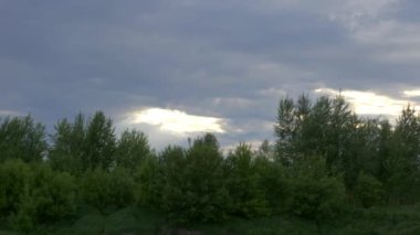 Dramatik Gök Şiddetli Yağmurlu Bulutlar Ağaç Ağaçlarının Üzerinde. Bahar sezonu