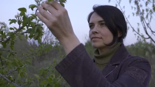 Güzel Kız Ağaç Çiçeğinin Kokusu Içine Çekiyor Bahar Akşamı Alacakaranlığı — Stok video