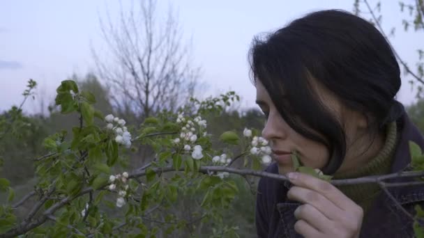 美丽的女孩吸入树花的芬芳 春晚黄昏 — 图库视频影像