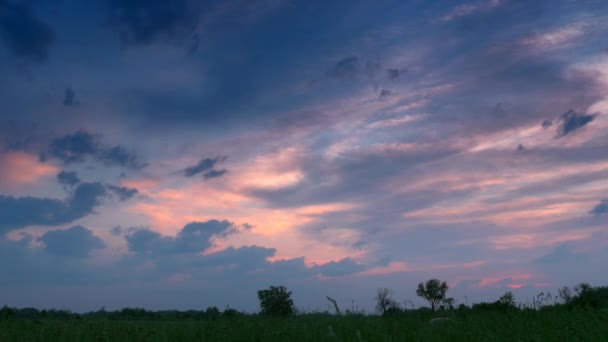 車薄明かりの中で移動芝生畑を渡って農村未舗装道路上の夕暮れ 美しい夕日夕方曇り空の風景自然 — ストック動画