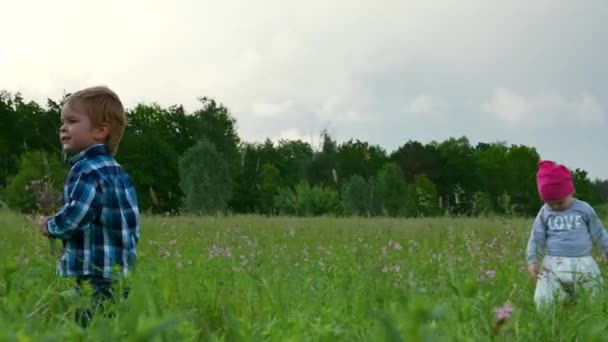 Niedliche Kleine Kinder Pflücken Wildblumen Junge Und Mädchen Beim Laufen — Stockvideo