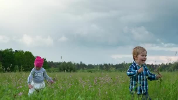 かわいい小さな子供たちは野生の花を摘む 草の多い草原を走る少年少女たち 劇的な曇天 2倍スローモーション0 5速度60 Fps — ストック動画