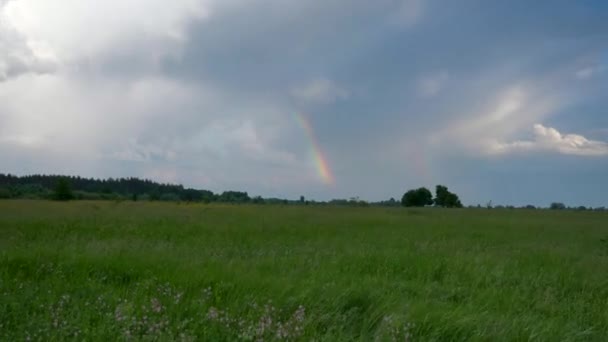 Arc-en-ciel sur ciel bleu nuageux au-dessus du champ d'herbe et de la forêt. Paysage naturel rural 