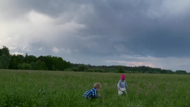 かわいい小さな子供たちは野生の花を摘む 草の多い草原を走る少年少女たち 劇的な雲 Sky — ストック動画
