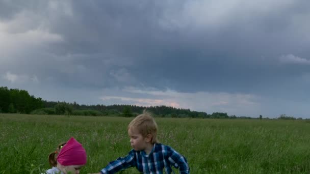 Cute Little Children Pluck Wildflowers Boy Girl Playing Running High — Stock Video