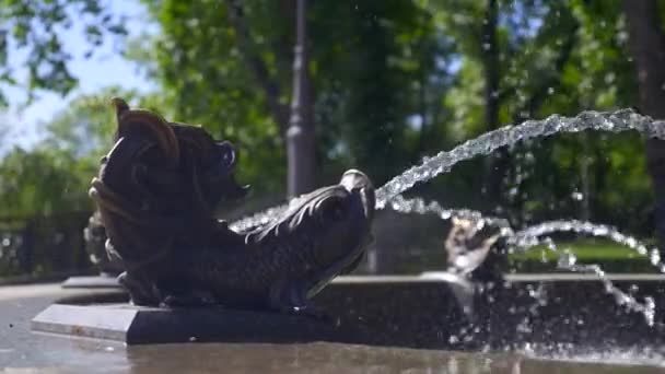 Salpicaduras Agua Cerca Fountain City Park Antecedentes Paseando Primavera Verano — Vídeos de Stock