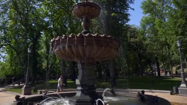 공원에 빈티지 관광객들은 그라운드에서 여름의 태양의 우크라이나 2019 — 비디오