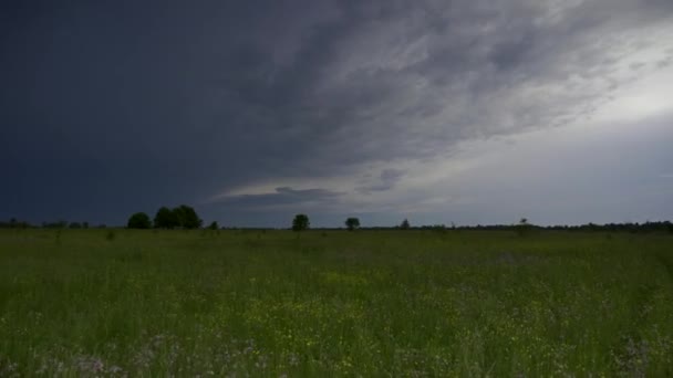 農村部の草原に自生します Overcast Sky — ストック動画