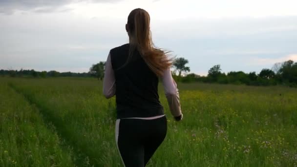 草の分野でジョギングを実行する女性 田舎の田園風景 雨雲天気春の季節 2倍スローモーション Fpsの1 2スピード — ストック動画