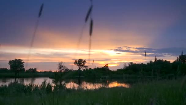 Scenic Sunset Reflection River Raindrops Water Surface Paesaggio Rurale Campagna — Video Stock
