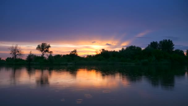 水面の川の雨滴に関する風景日没の反射 夕方田舎の田園風景 雨雲の天気春 — ストック動画
