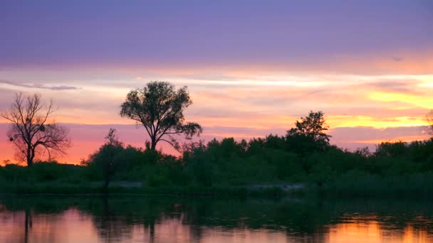 Γραφική Αντανάκλαση Ηλιοβασιλέματος Στις Σταγόνες Βροχής Του Ποταμού Στην Επιφάνεια — Αρχείο Βίντεο