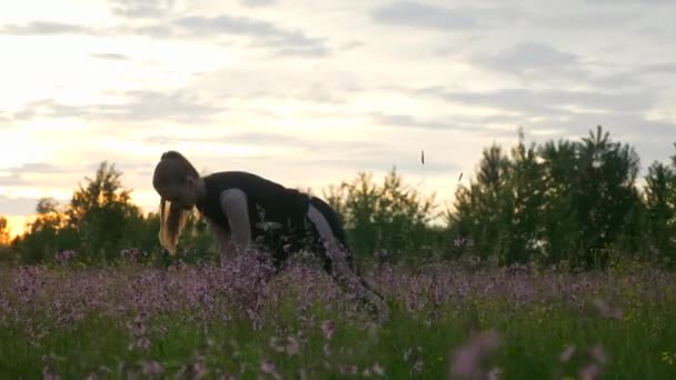 여성은 풀밭에서 조깅을 지역의 지역이다 비오는 날씨의 시즌이다 Fps — 비디오